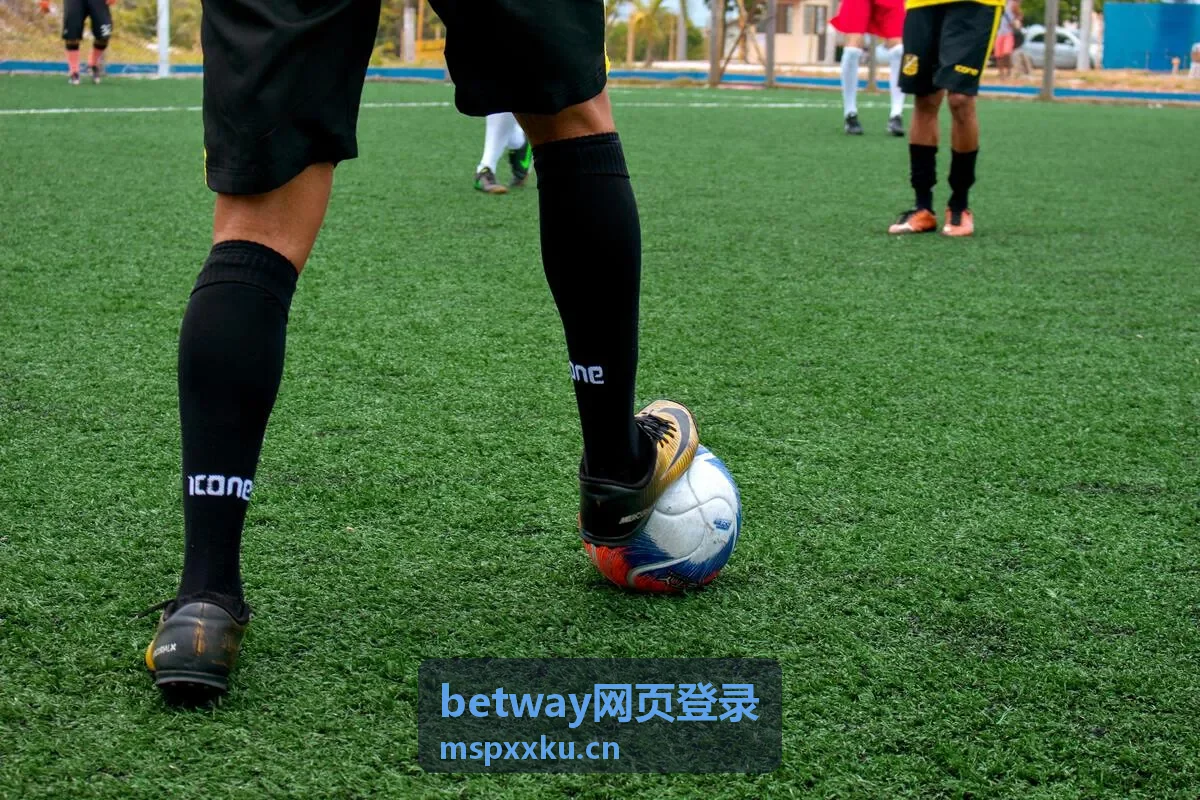 betway网页登录手机端输入异常排查示意